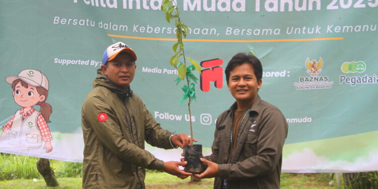 Kemah Relawan Pelita Intan Muda di Hutan Pakawa Bandung Gelar Penghijauan dengan Menanam Pohon di Sekitar Lokasi Kegiatan